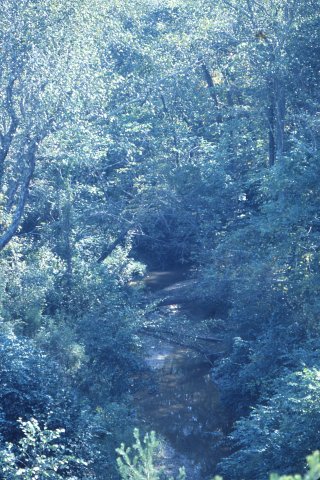 State line, North Carolina side