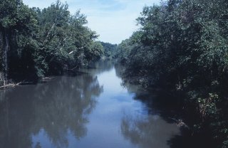 Dan River downstream from State Line Bridge