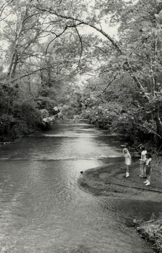 Students at Cascade Creek