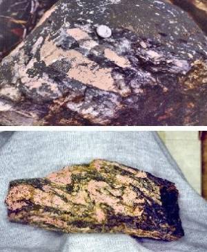Cataclasite: A Rare Boulder