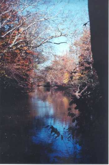 The Banister River