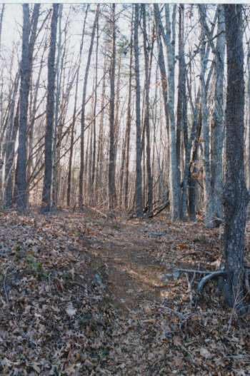 Hiawatha Trail begins