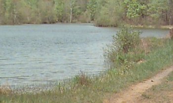 Pete's Pond