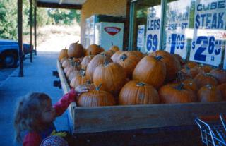 Pumpkins
