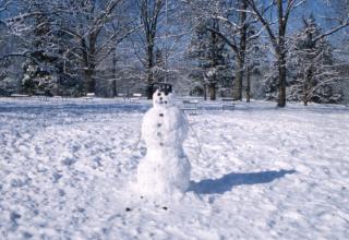Frosty