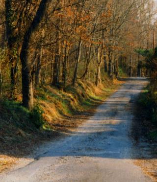 Kemper Lane