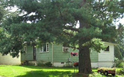 12 Military Drive