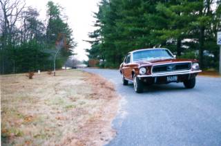 At Cherrystone Road and Samuel Harris Lane