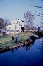 Chatham Wines Awaited (1990)