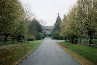 Entrance drive
