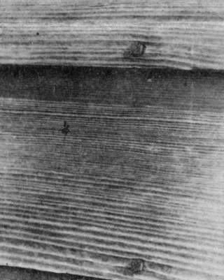 Clapboards